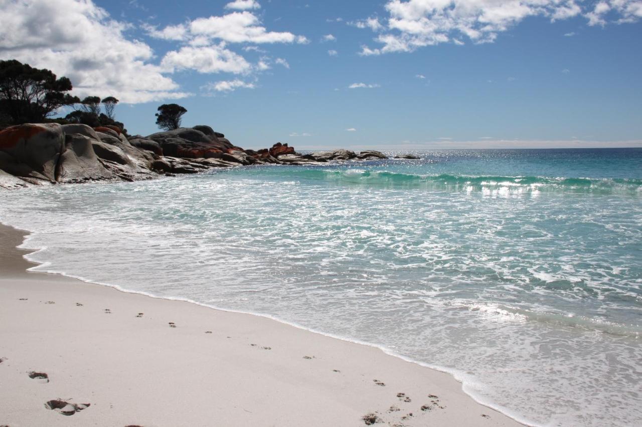 Binalong Beach Cottage Beachfront At Bay Of Fires Next To Restaurant Binalong Bay Eksteriør bilde